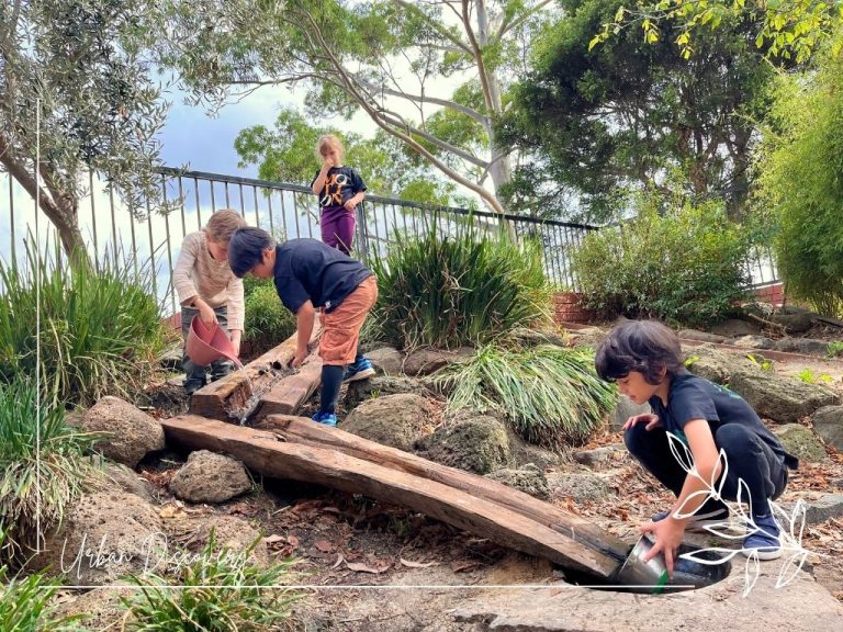 Incursions & Workshops